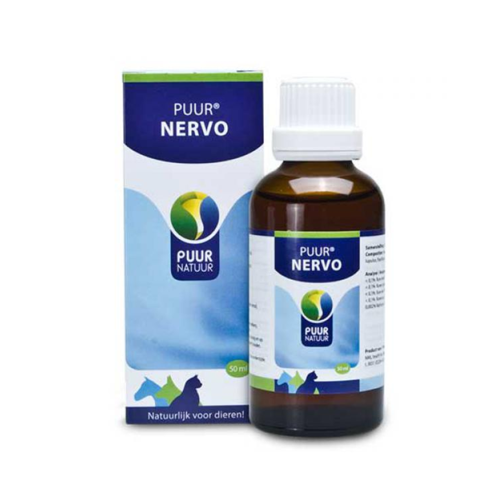 PUUR - Nervo