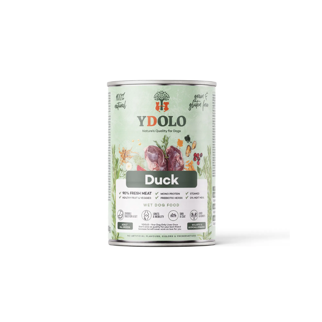 Ydolo - Natvoer eend