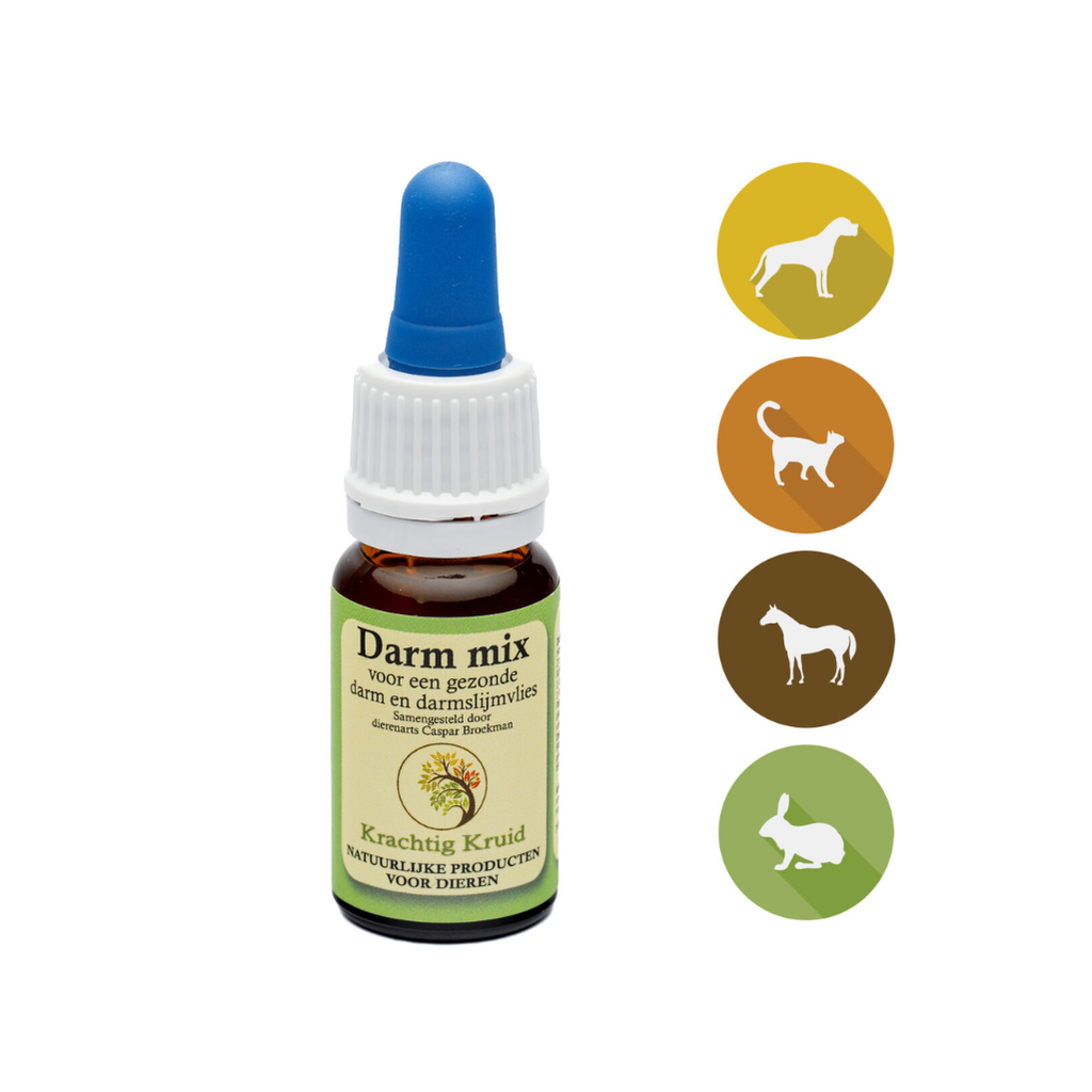 Krachtig Kruid - Darm mix