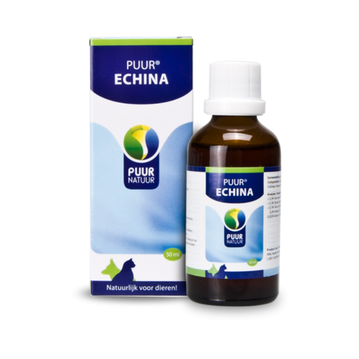 PUUR - Echina