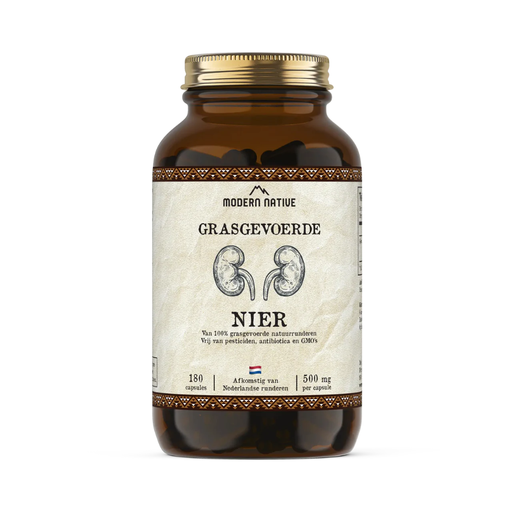 Modern Native - Nier