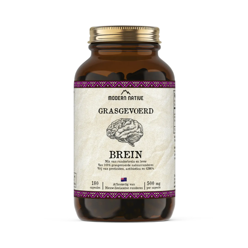 Modern Native - Brein