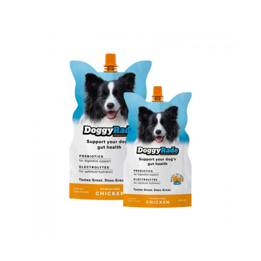 DoggyRade - Isotone drank met kip